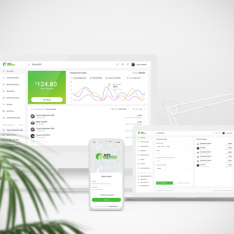 Multi Screen AutoExpreso Mockups